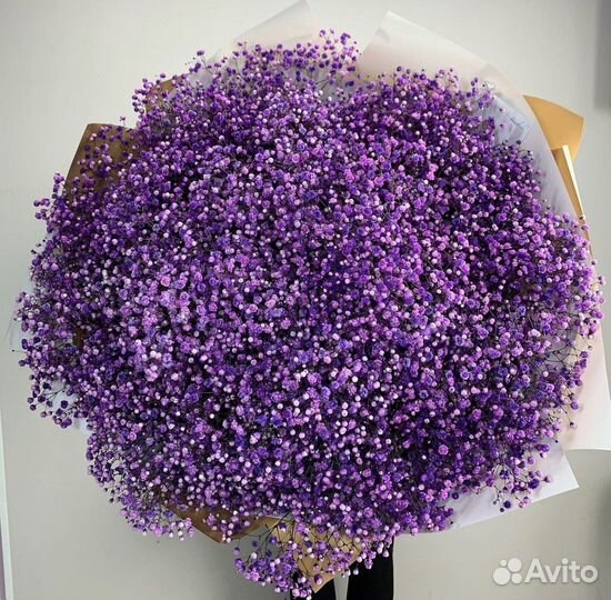 Букет из гипсофилы Доставка Цветы гипса №12