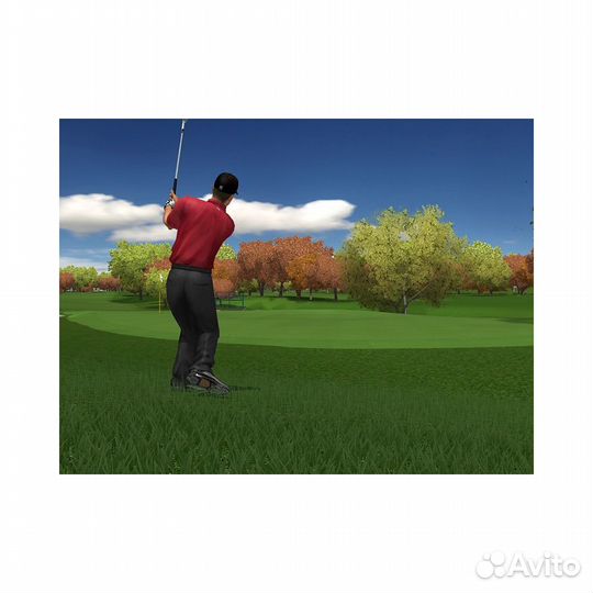 Tiger Woods PGA Tour 2004, б/у, английский (Xbox)