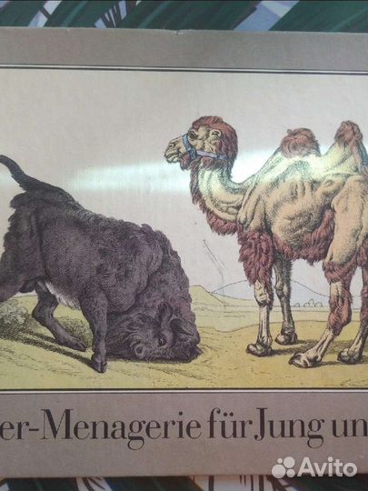 Книга- альбом на немецком языке