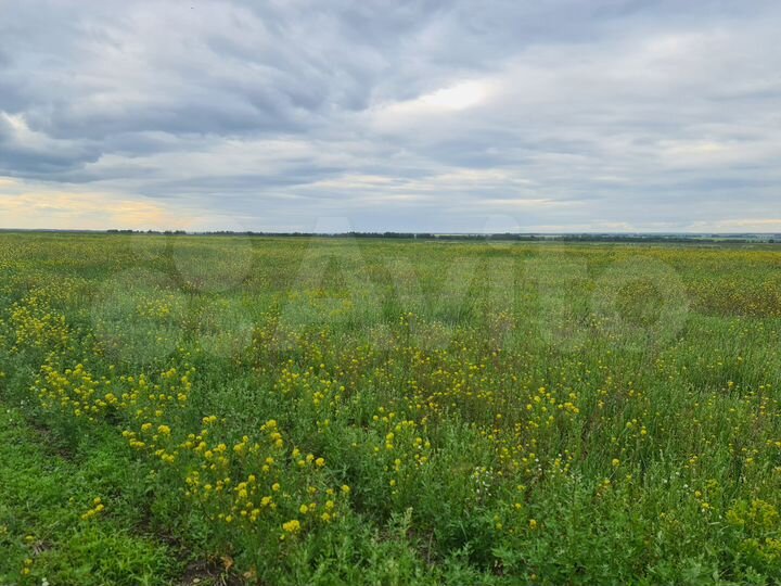 Участок 10,8 га (СНТ, ДНП)