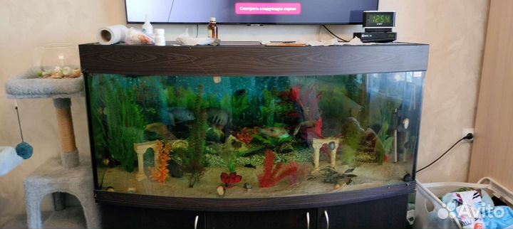 Аквариум 400л