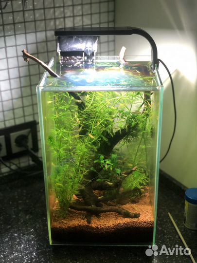 Аквариум 15 литров размером 20-22-35 см