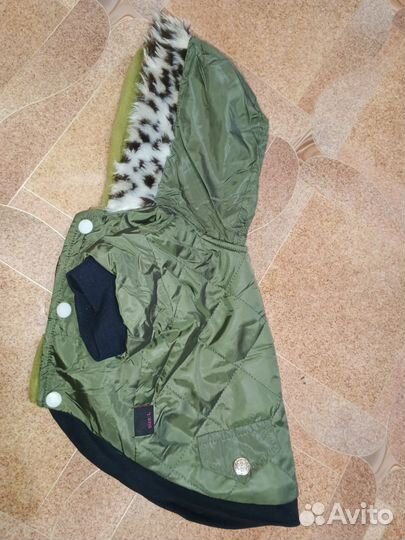 Вещи для маленьких собак