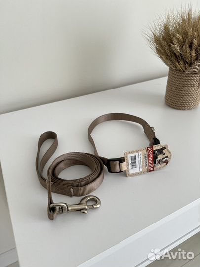 Поводок+ошейник