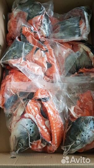 Суповой набор из Лосося/Форели с/м