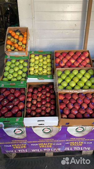 Овощи фрукты