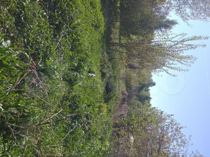 Участок 15 га (ИЖС)