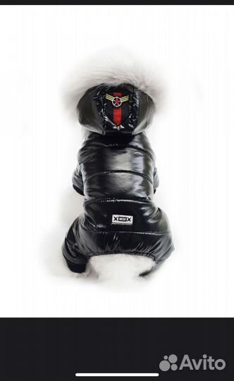 Комбинезон для маленькой собаки зима