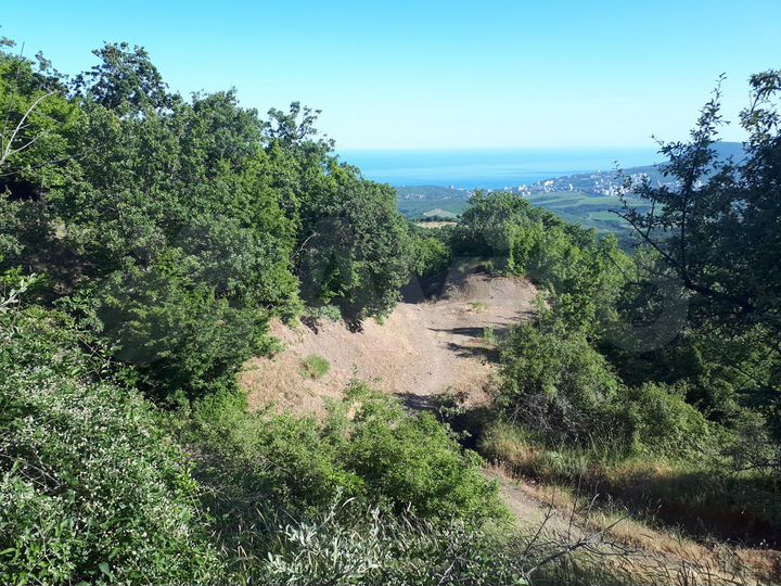 Участок 11,7 сот. (ИЖС)