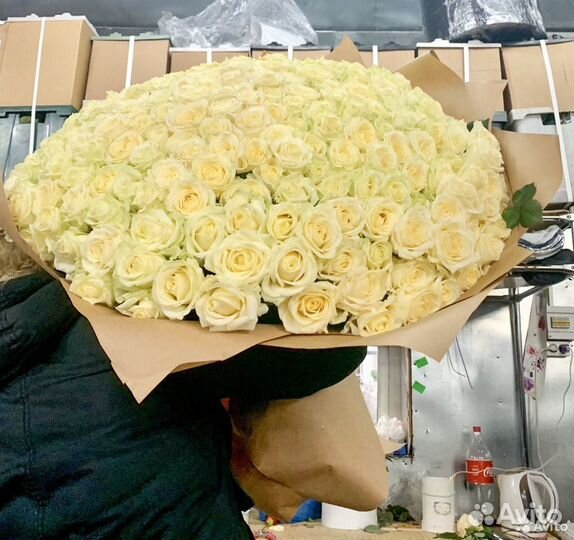Цветы оптом розы 101 штука