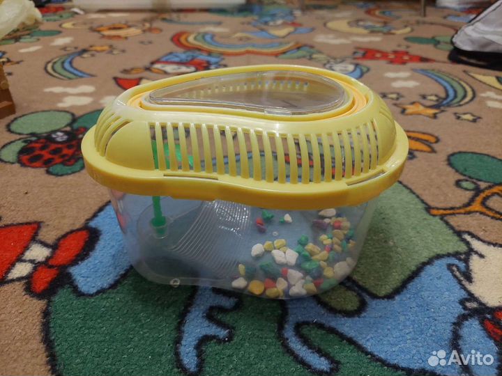 Переноска-террариум