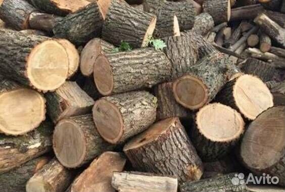 Дубок дрова