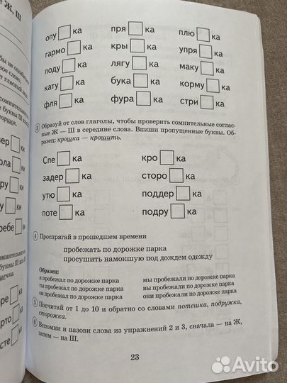 Пособие «Парные согласные Ж—Ш»