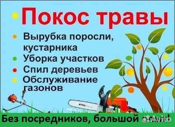 Уборка дачного участка, спил деревьев