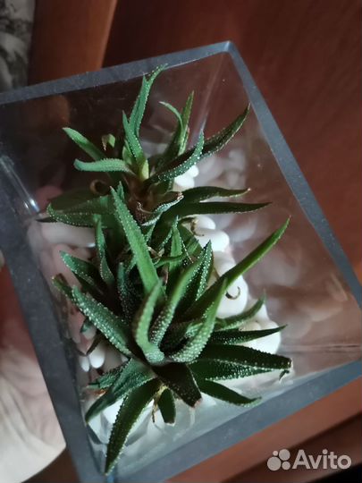 Ваза IKEA стекло