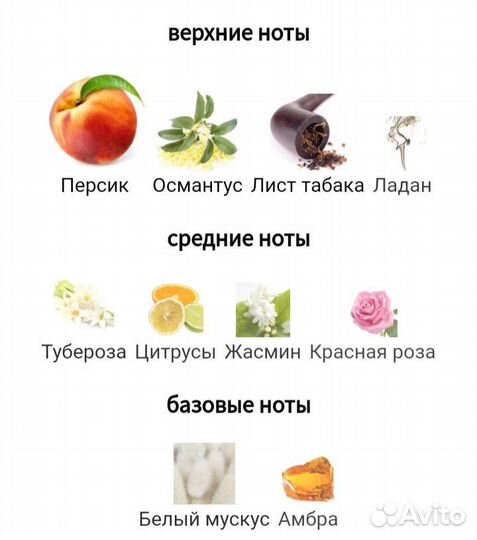 Парфюм Attar collection Queen of sheba