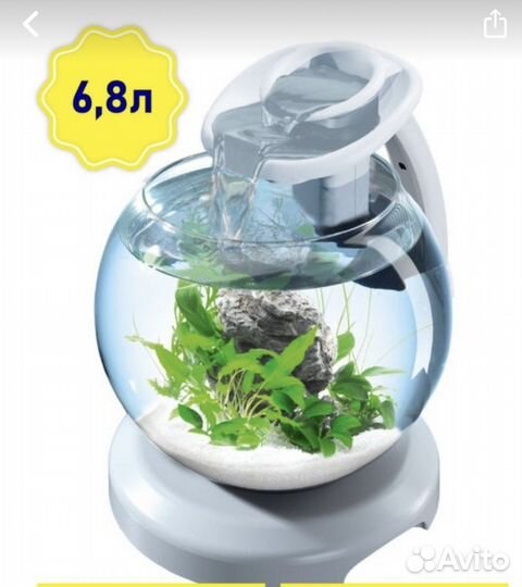 Аквариум