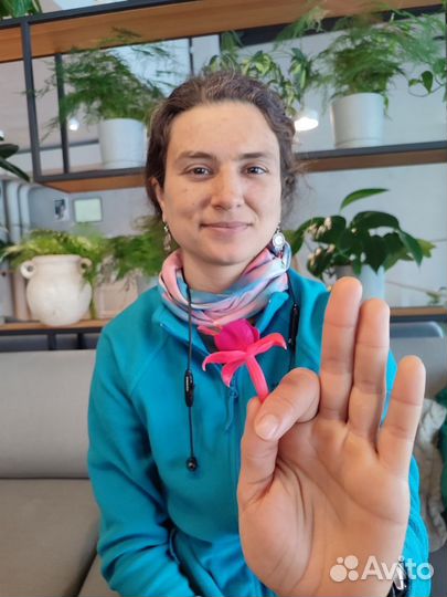 Тайский традиционный массаж