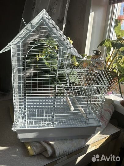 Клетка для волнистого попугая