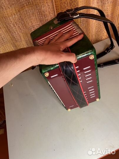 Гармонь с Заказной Росписью и Регистр Звонкий