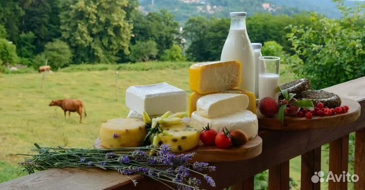 Эко-тур в Долину Мацеста