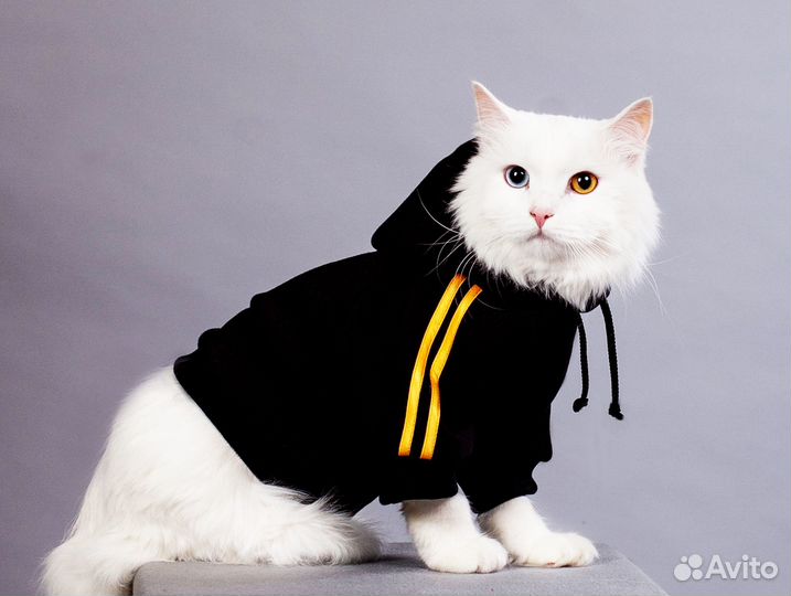 Одежда для собак и кошек