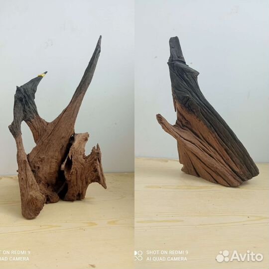 Дубовые коряги для аквариума