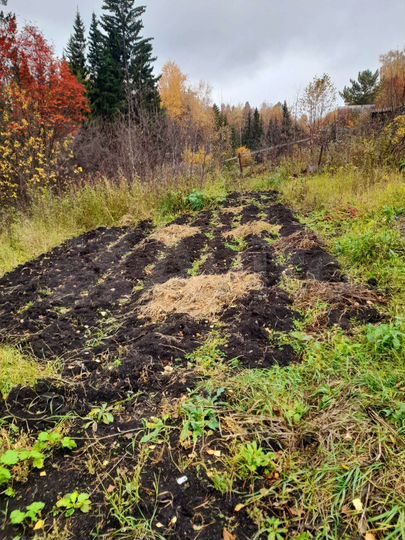 Участок 8,3 сот. (СНТ, ДНП)