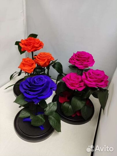 Роза в колбе оптом и в розницу