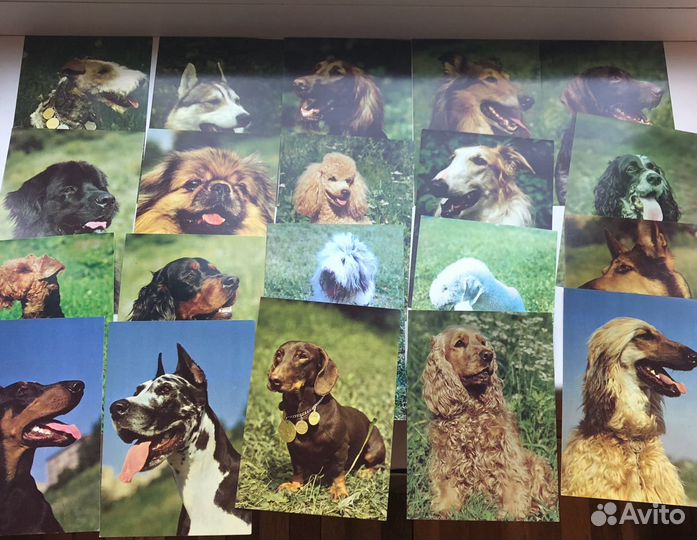 Набор открыток СССР