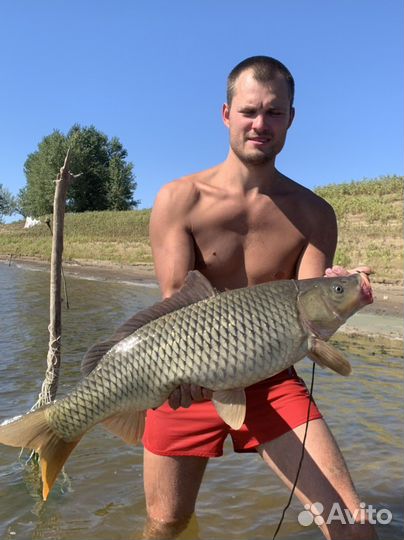 Набор долгоиграющей макухи для сазана из 30шт