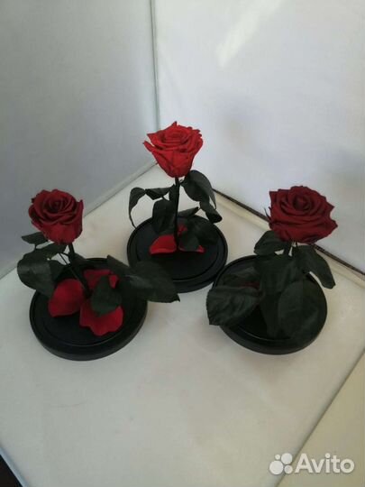 Роза в стеклянной колбе оптом и в розницу