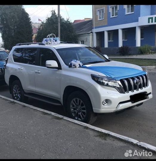 Аренда авто