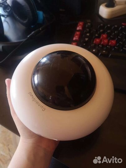 Товары для собак и кошек амуниция игрушки