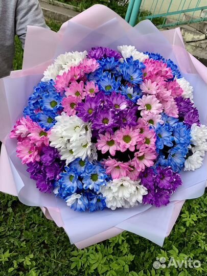 Букет гигант кустовые крашеные хризанемы