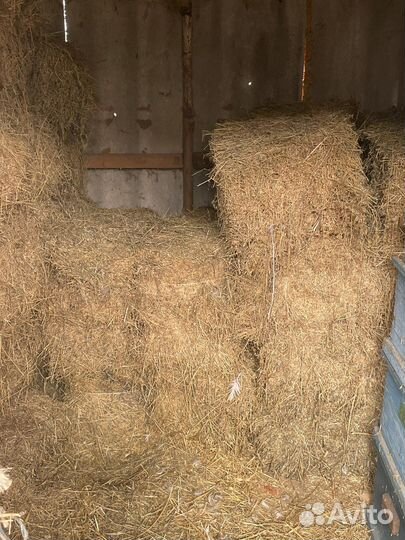 Сено люцерны в тюках