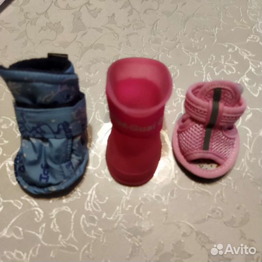 Обувь/одежда для животных