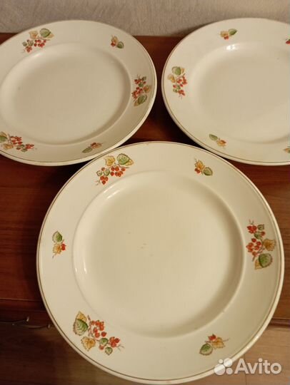 Тарелки (5 шт.)
