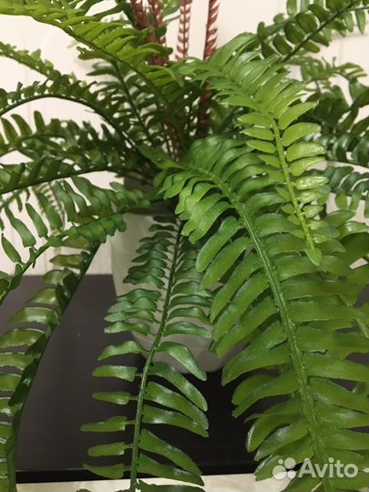 Пальма.Фикус.Стрелиция. Искусственные растения