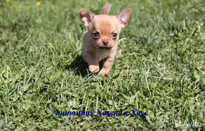 Очаровательные малыши