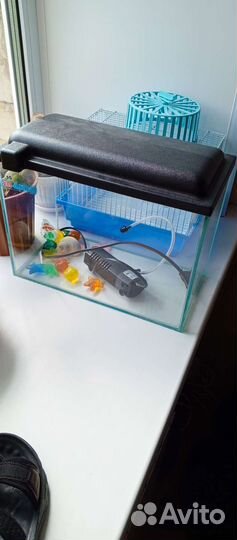 Оборудование для аквариума