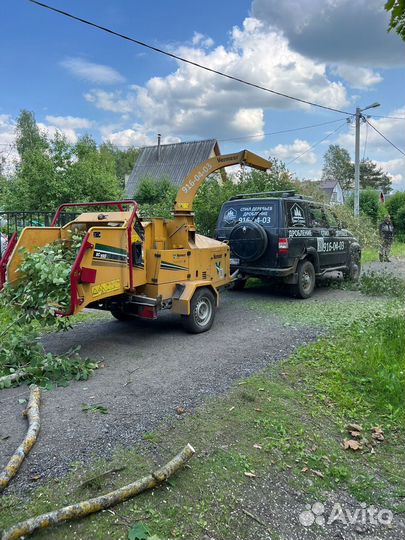 Расчистка участка, спил деревьев, дробление пней
