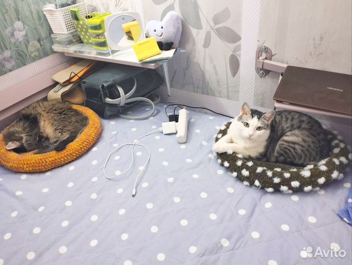 Лежанка для кошек ручная работа