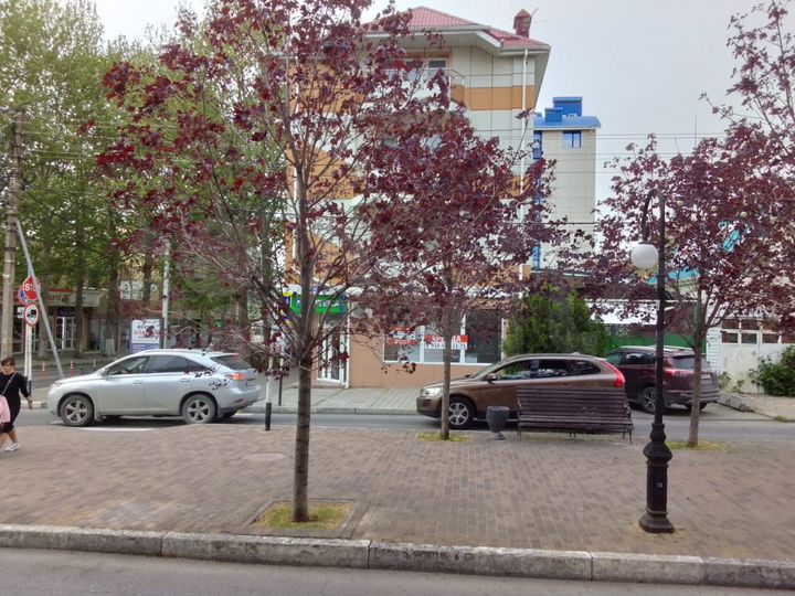 Свободного назначения, 48.6 м²