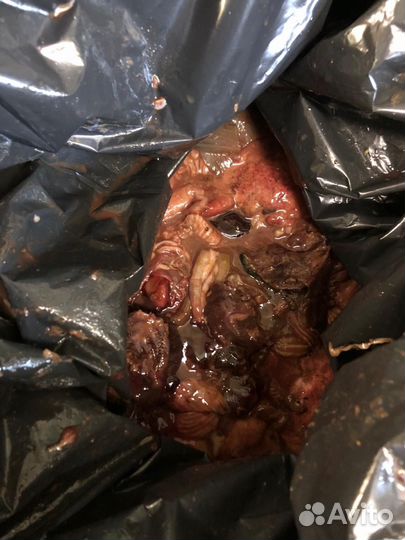 Рыбные отходы