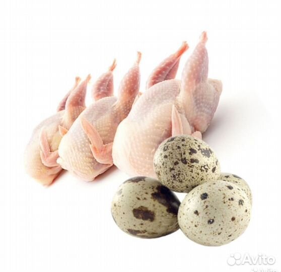Мясо перепелки