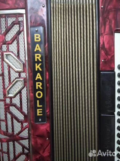 Баян Баркаролло Италия, профессиональный