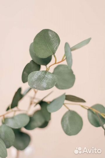 Эвкалипт Искуственные цветы