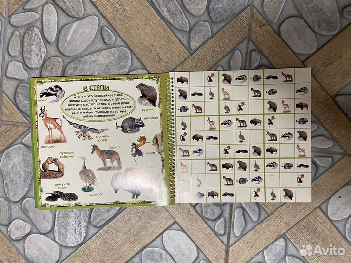 Сафари судоку