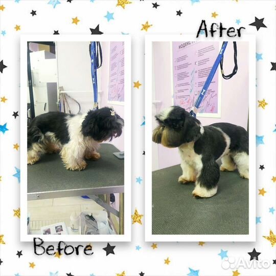 Груминг собак